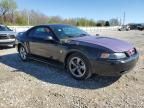 2004 Ford Mustang