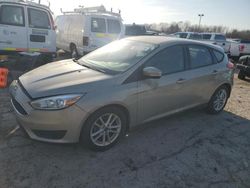 Salvage cars for sale at Indianapolis, IN auction: 2015 Ford Focus SE