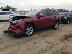Salvage cars for sale from Copart Newton, AL: 2021 Toyota Rav4 XLE