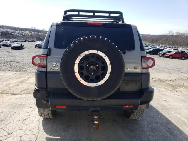 2013 Toyota FJ Cruiser