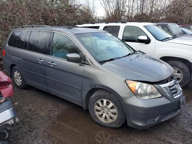 2008 Honda Odyssey EXL