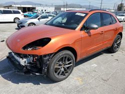Salvage cars for sale at Sun Valley, CA auction: 2024 Porsche Macan Base