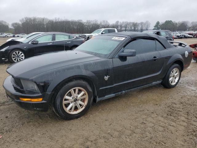 2009 Ford Mustang