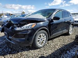 Salvage cars for sale from Copart Reno, NV: 2020 Ford Escape SE