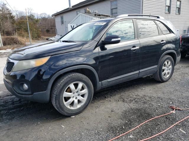 2011 KIA Sorento Base