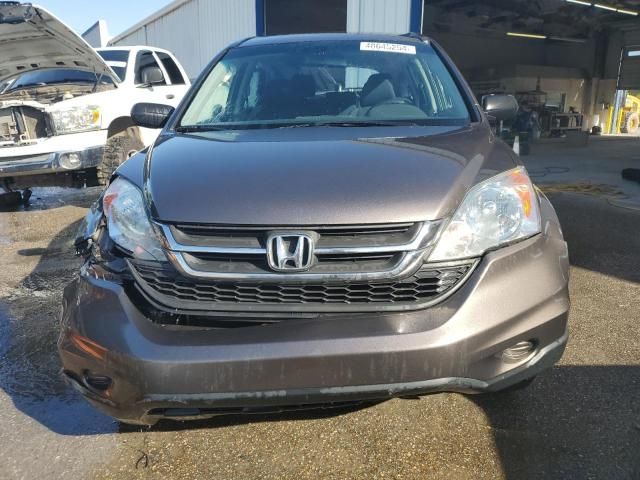 2010 Honda CR-V LX