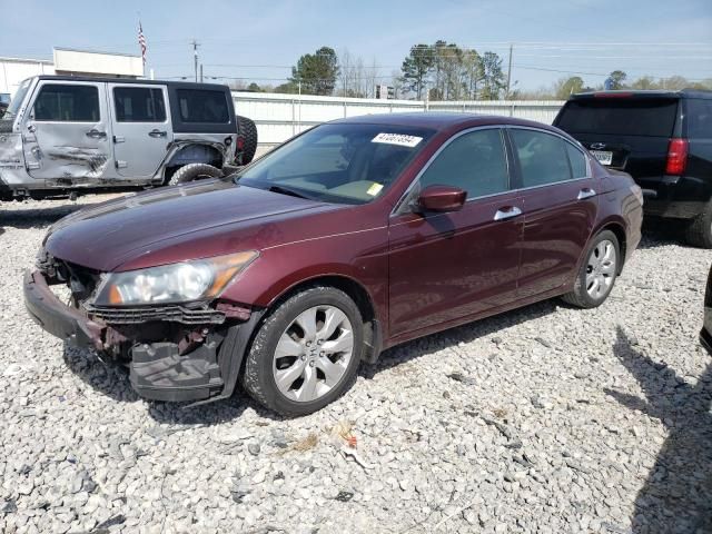 2009 Honda Accord EXL