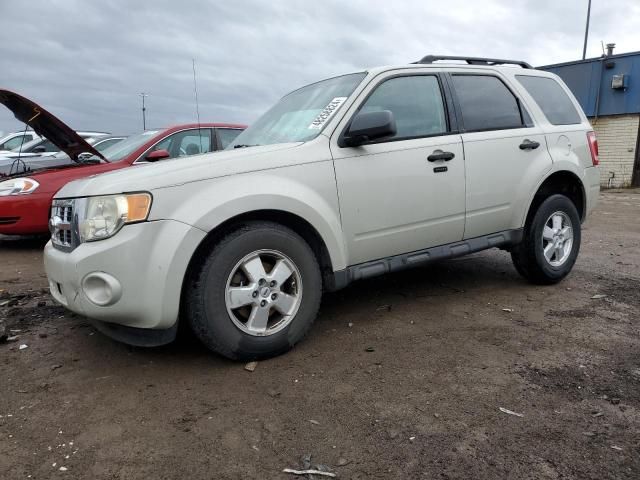 2009 Ford Escape XLT