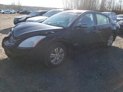 Nissan Altima salvage cars for sale: 2010 Nissan Altima Hybrid