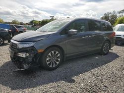 Honda Odyssey exl salvage cars for sale: 2024 Honda Odyssey EXL