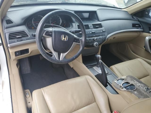 2008 Honda Accord EXL