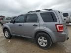 2008 Ford Escape HEV