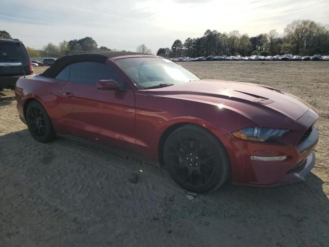 2019 Ford Mustang