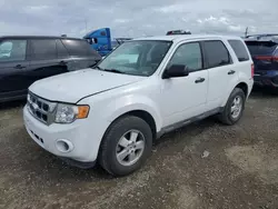 Salvage cars for sale at Vallejo, CA auction: 2012 Ford Escape XLS