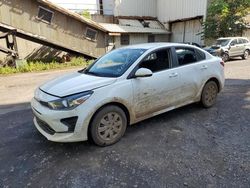 Salvage cars for sale at auction: 2021 KIA Rio LX