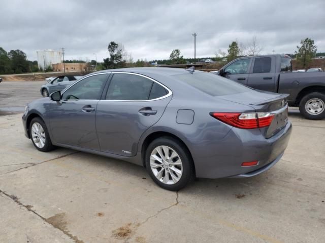 2013 Lexus ES 300H