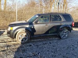 Ford Escape xlt Vehiculos salvage en venta: 2009 Ford Escape XLT