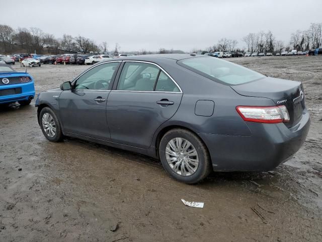 2010 Toyota Camry Hybrid