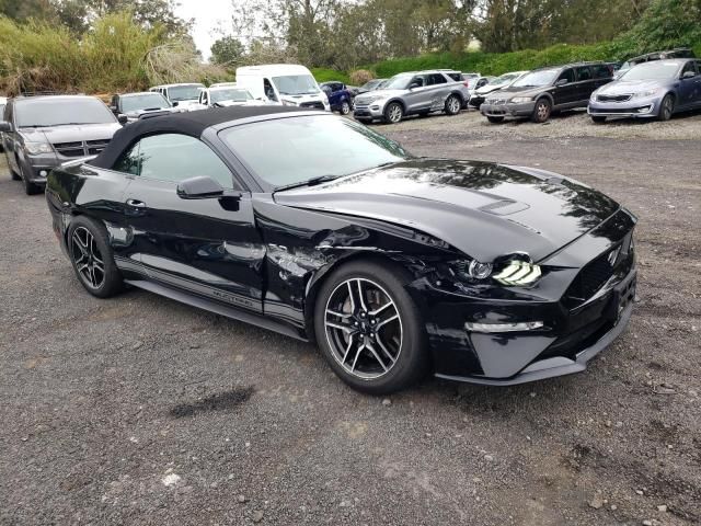 2019 Ford Mustang GT