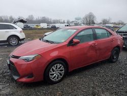 Toyota Corolla salvage cars for sale: 2017 Toyota Corolla L