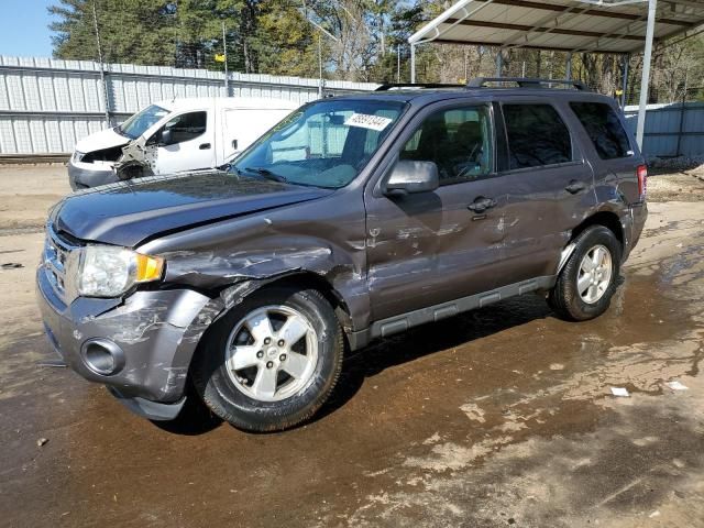 2010 Ford Escape XLT