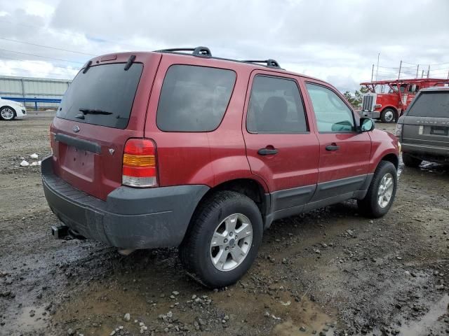 2005 Ford Escape XLT