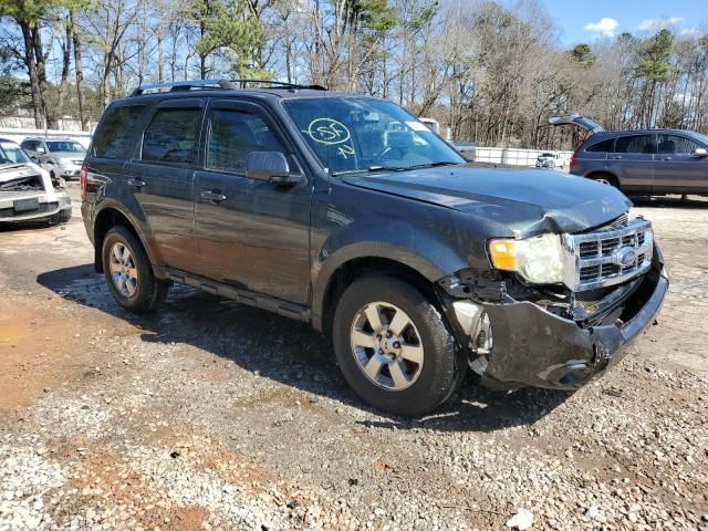 2009 Ford Escape Limited