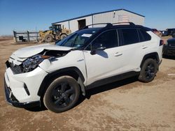 Salvage cars for sale from Copart Amarillo, TX: 2020 Toyota Rav4 XSE