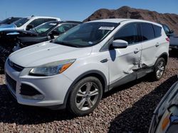 Salvage cars for sale at Phoenix, AZ auction: 2016 Ford Escape SE