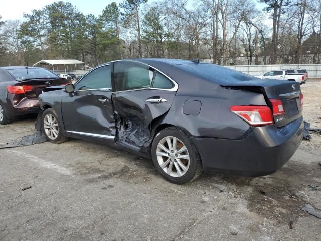 2010 Lexus ES 350