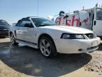 2002 Ford Mustang