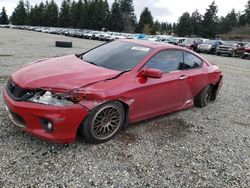 Salvage cars for sale from Copart Graham, WA: 2013 Honda Accord EXL