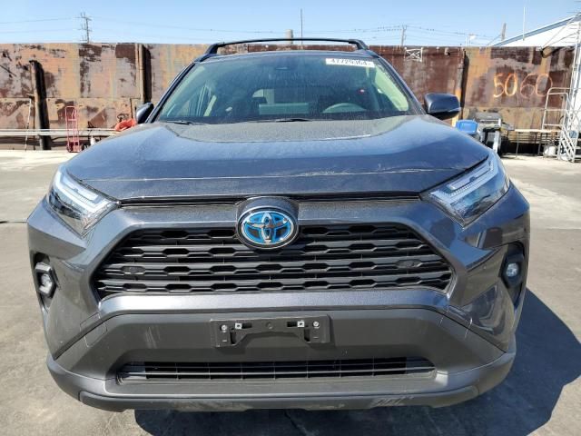 2023 Toyota Rav4 XLE Premium