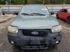 2007 Ford Escape XLT