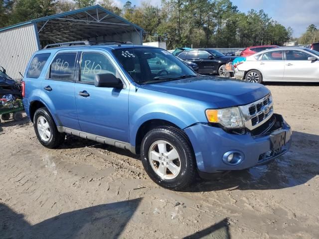 2009 Ford Escape XLT