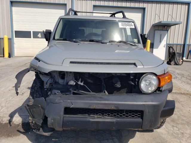 2013 Toyota FJ Cruiser