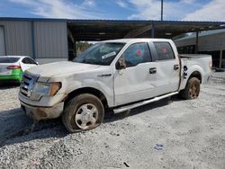 Ford salvage cars for sale: 2010 Ford F150 Supercrew