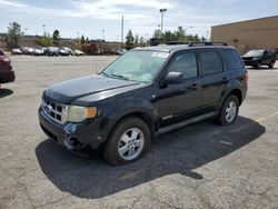 Salvage cars for sale at Gaston, SC auction: 2008 Ford Escape XLT