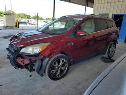 Salvage cars for sale from Copart Homestead, FL: 2014 Ford Escape Titanium