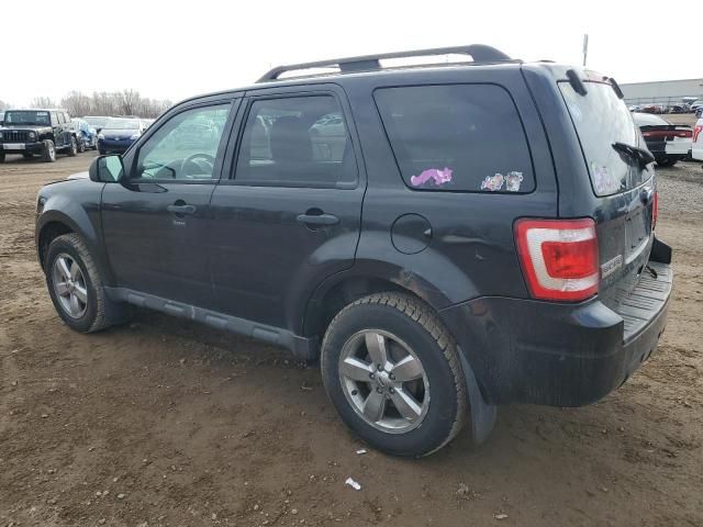 2011 Ford Escape XLT