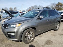 KIA Sorento SX salvage cars for sale: 2013 KIA Sorento SX