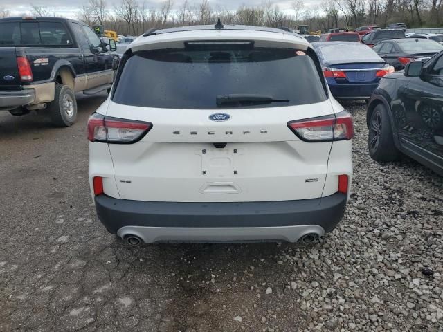 2020 Ford Escape SE Sport