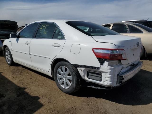 2009 Toyota Camry Hybrid