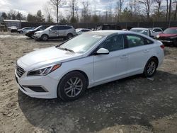 Salvage cars for sale at Waldorf, MD auction: 2017 Hyundai Sonata SE