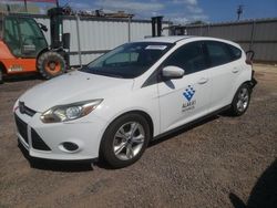 Salvage cars for sale from Copart Kapolei, HI: 2013 Ford Focus SE