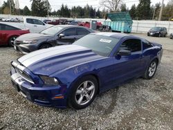 Salvage cars for sale at Graham, WA auction: 2014 Ford Mustang