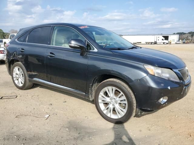 2010 Lexus RX 450