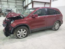 Salvage cars for sale from Copart Lawrenceburg, KY: 2009 Honda CR-V EXL