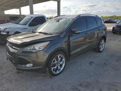 Salvage cars for sale from Copart West Palm Beach, FL: 2016 Ford Escape Titanium