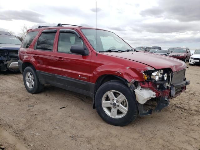 2006 Ford Escape HEV